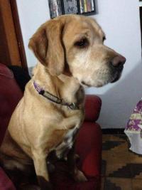 EDGAR PERDIDO EDGAR PERDIDO