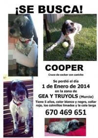 Cooper Cooper