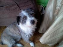 CUQUI CUQUI