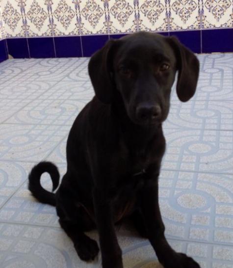 Reina - Perdida Reina - Perdida