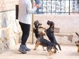 Donna y Cocó Donna y Cocó