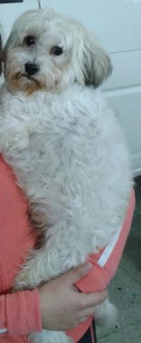 Spicy - Se busca en Alhama Spicy - Se busca en Alhama