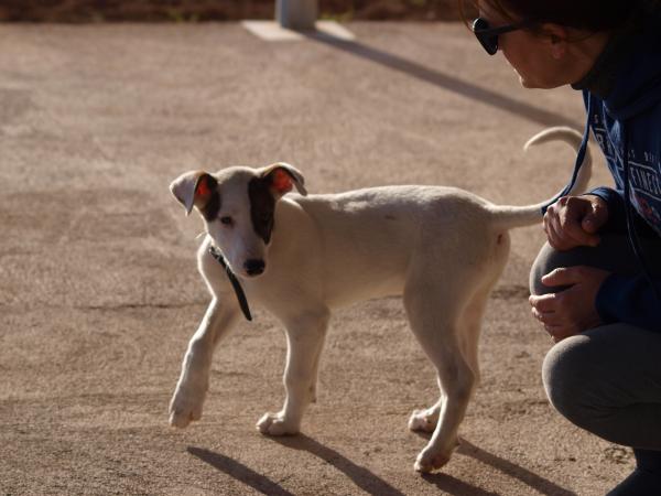 Luke -adoptado A.M. (Suecia)